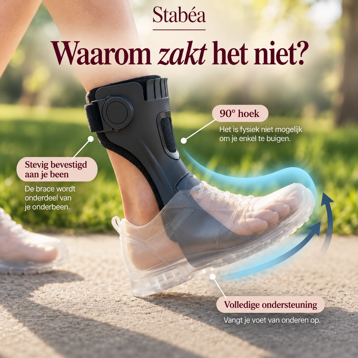 De orthesesteun van Stabéa in beeld